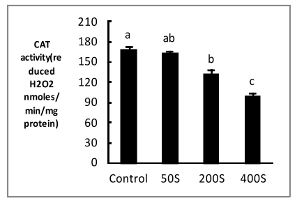 CCTHCV_2021_v21n4_678_f0005.png 이미지