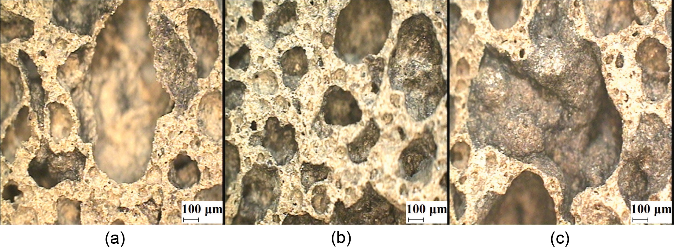 Fig.8.jpg 이미지