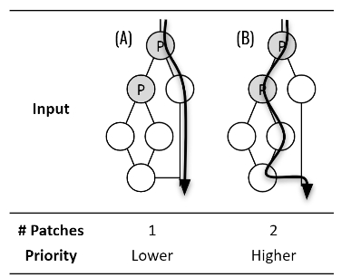 JBBHCB_2021_v31n5_911_f0004.png 이미지