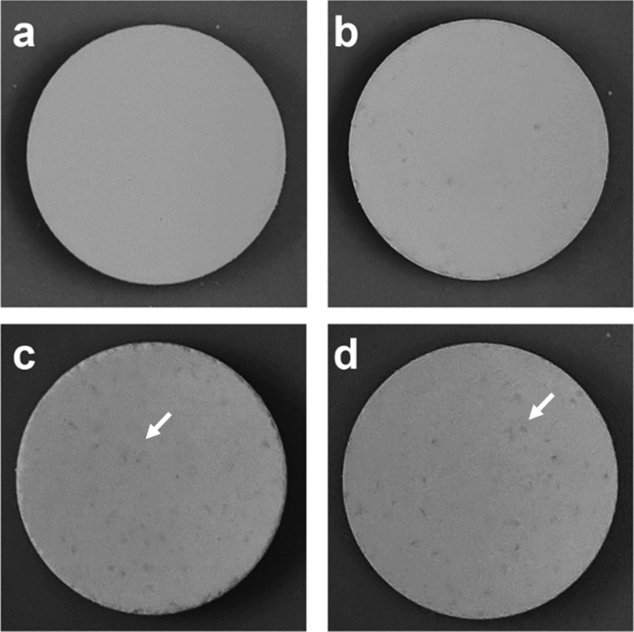 Fig.4.jpg 이미지