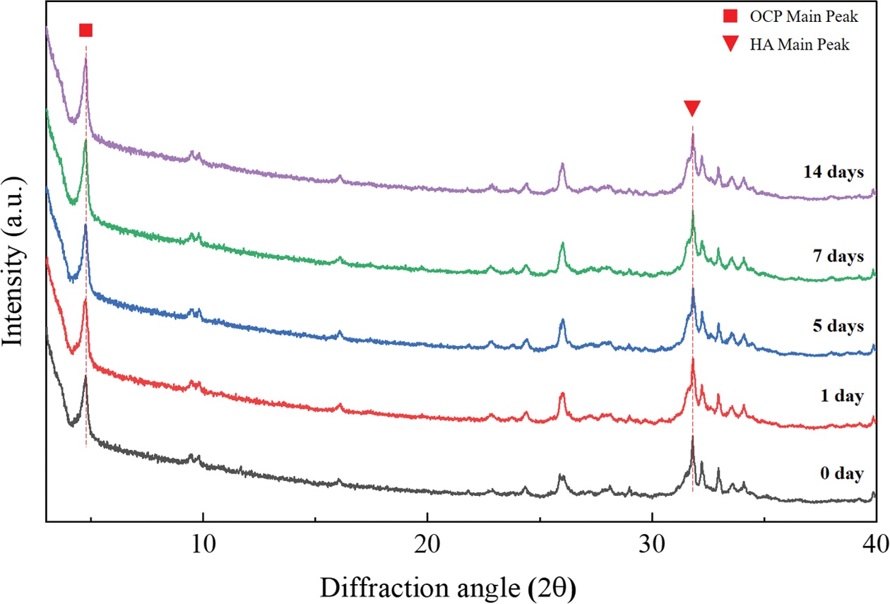 Fig.8.jpg 이미지