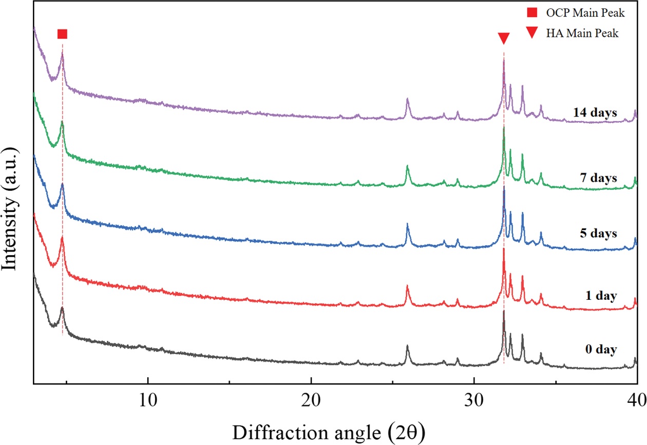 Fig.9.jpg 이미지