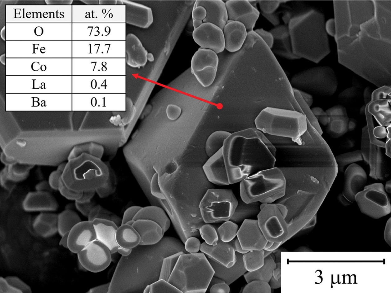 Fig.6.jpg 이미지