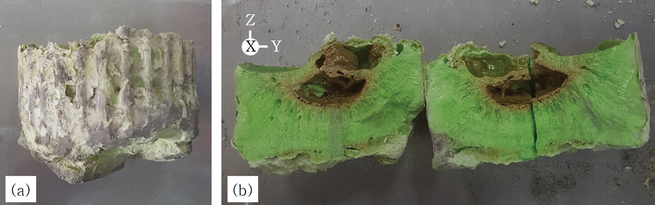 Fig.3.jpg 이미지