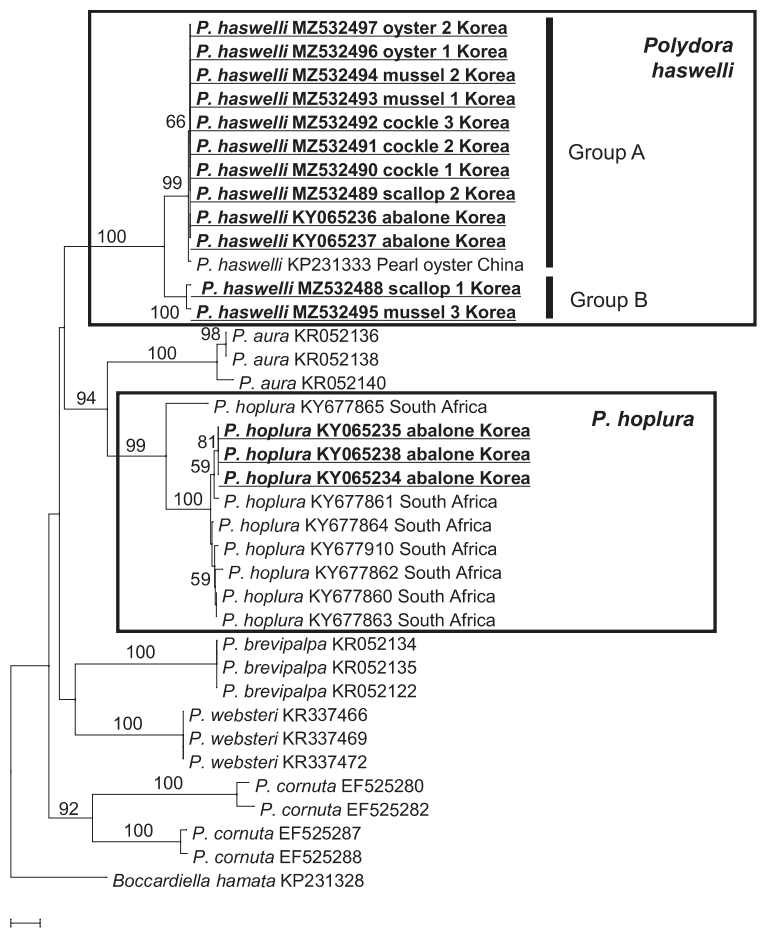 KSSHBC_2021_v54n5_685_f0002.png 이미지