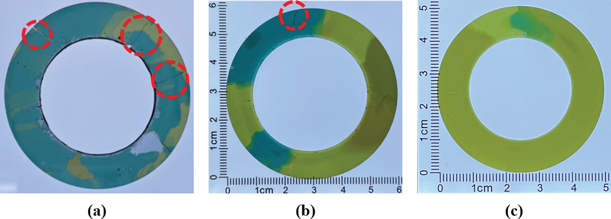 Fig.5.jpg 이미지