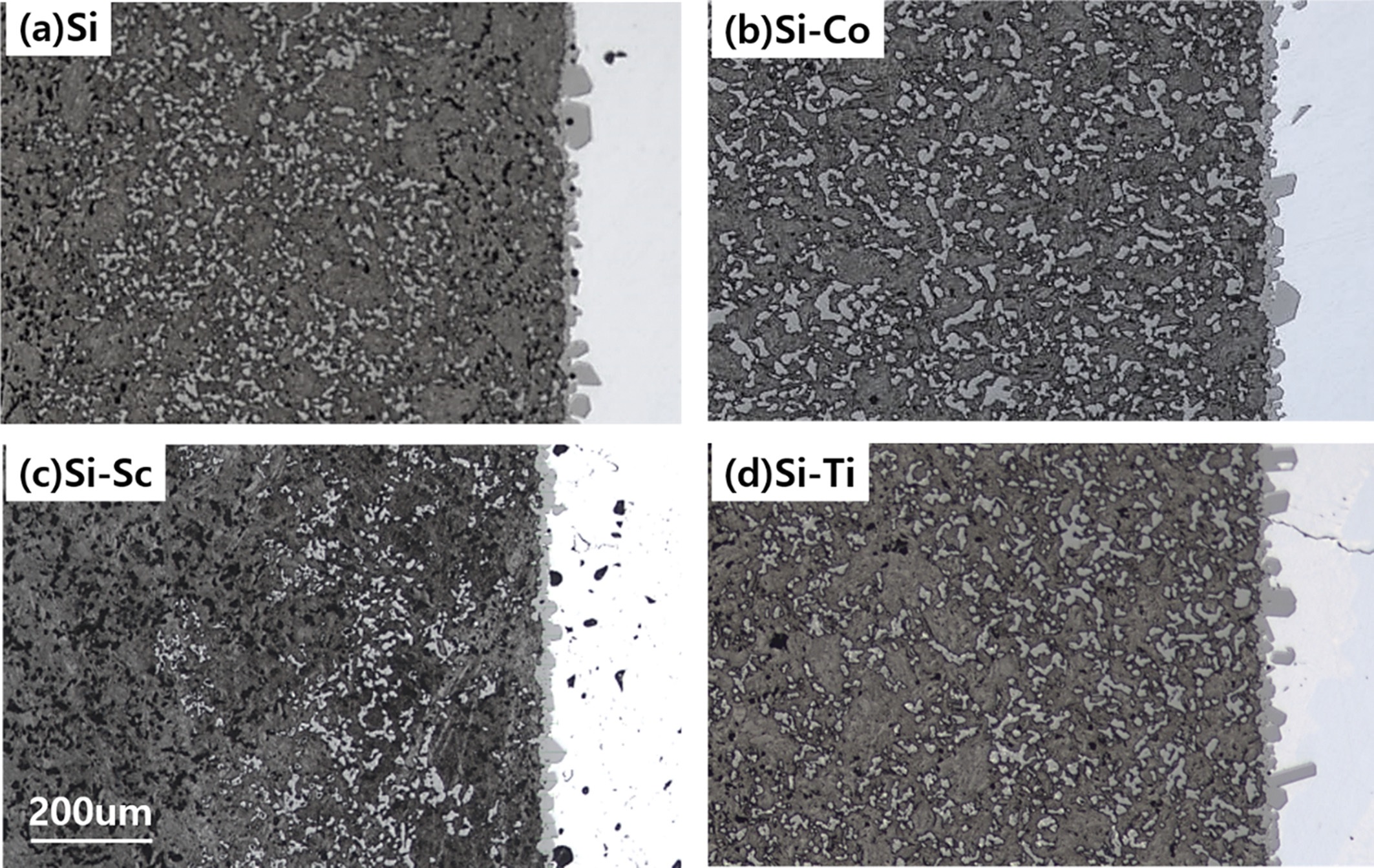 FIg.2.jpg 이미지