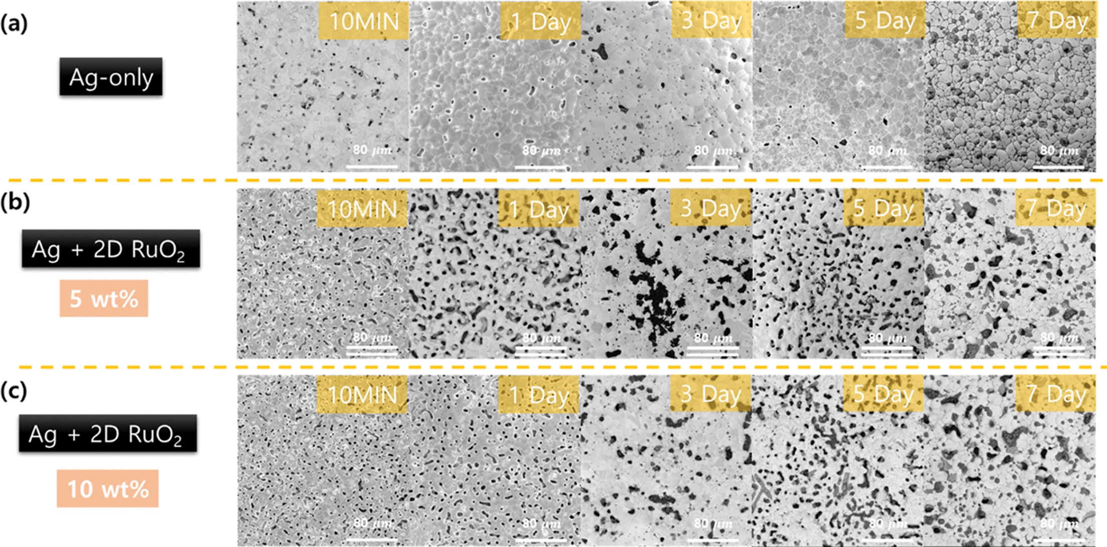 Fig.4.jpg 이미지